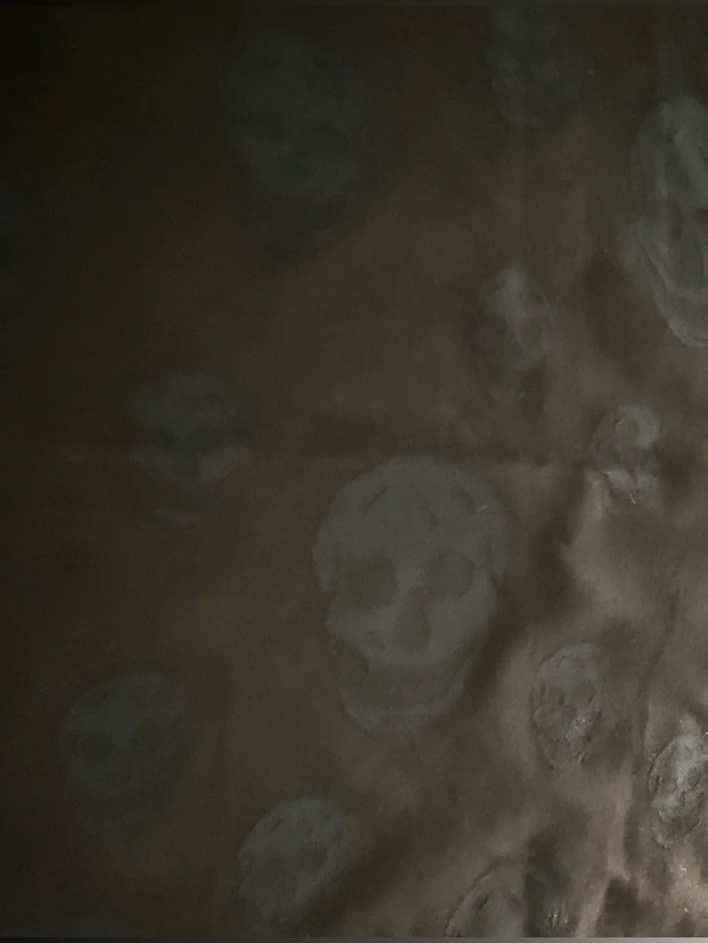 Alexander McQueen scarf